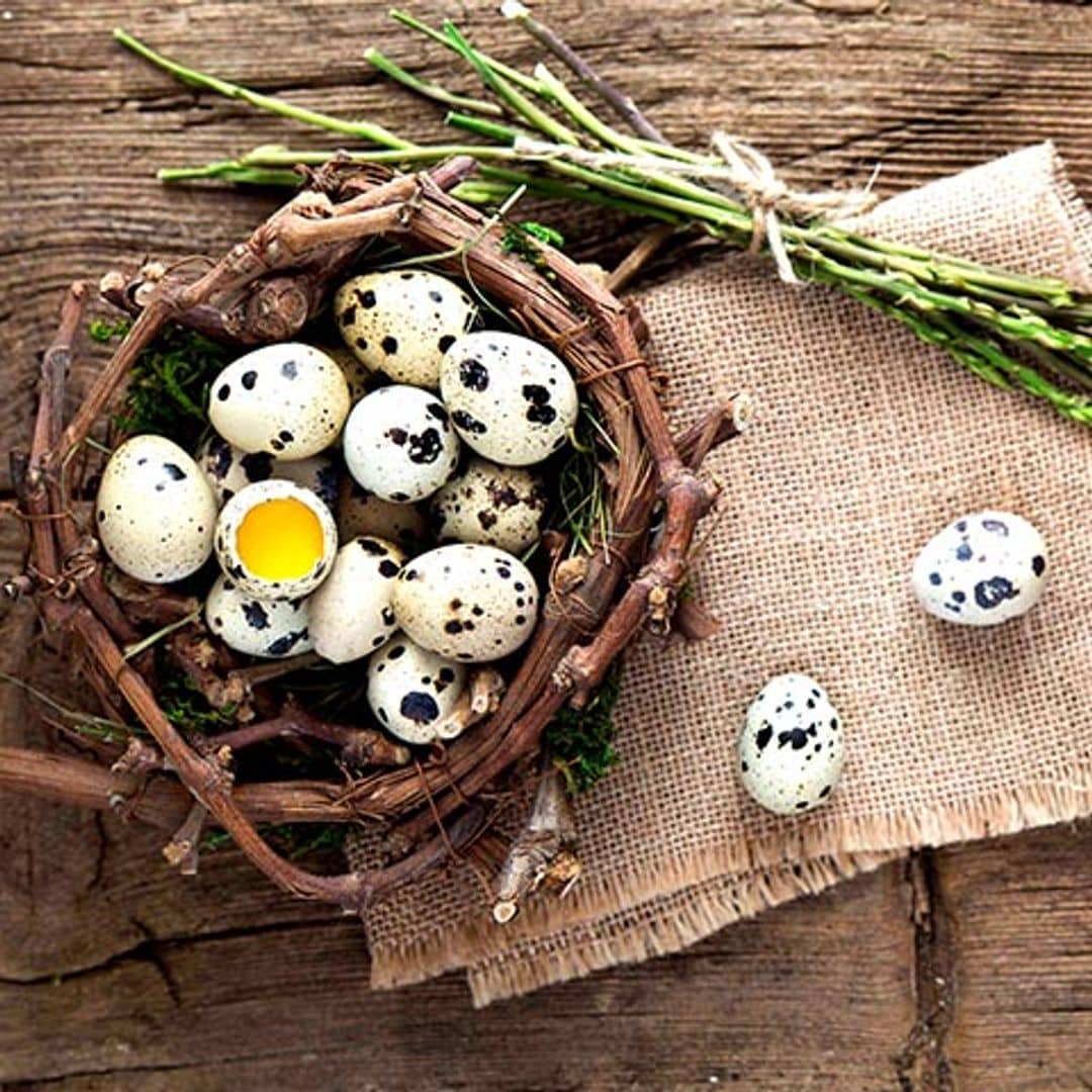 Los huevos de codorniz son tan nutritivos como los de gallina