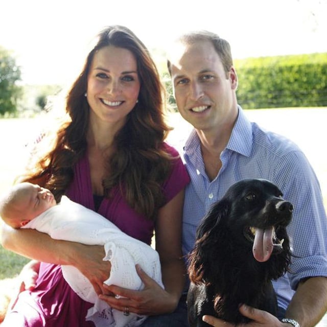lupo el perro del pr ncipe william y kate middleton