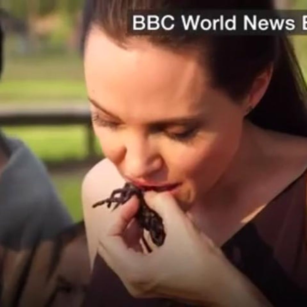 Angelina Jolie enseña a sus hijos cómo comer y cocinar...¡escorpiones!