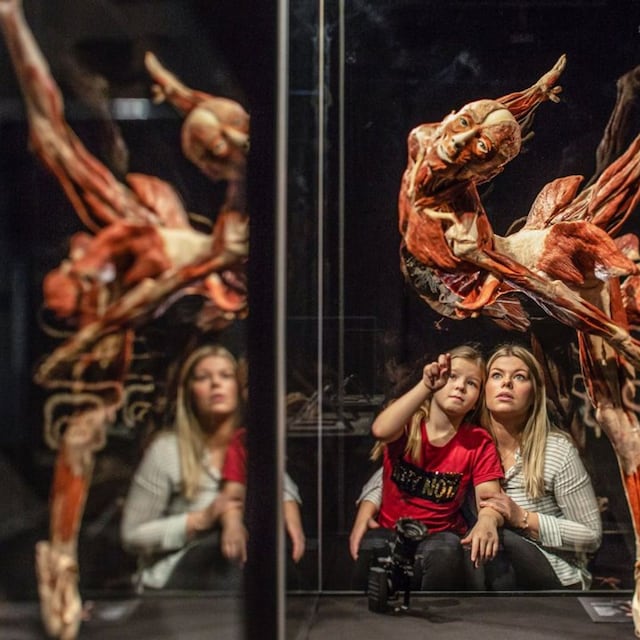 exposici n 39 body worlds 39 de madrid 