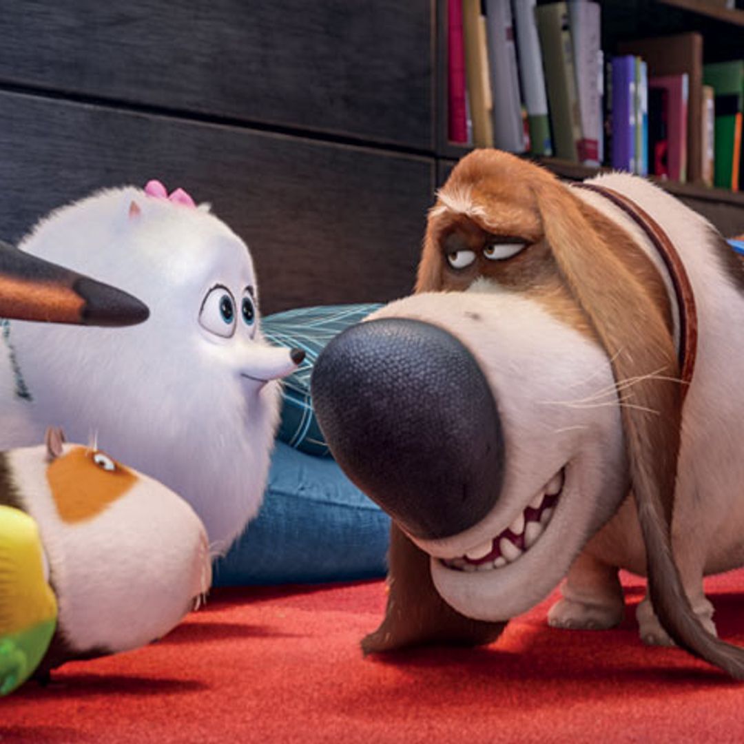 'Mascotas', la película que está batiendo récords en Reino Unido