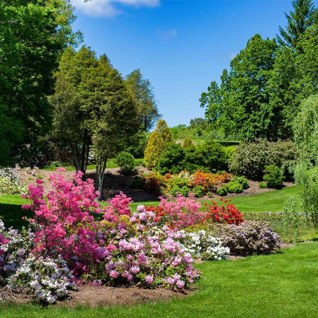 ¿Sabes cómo conseguir un jardín de estilo inglés con mucho encanto?
