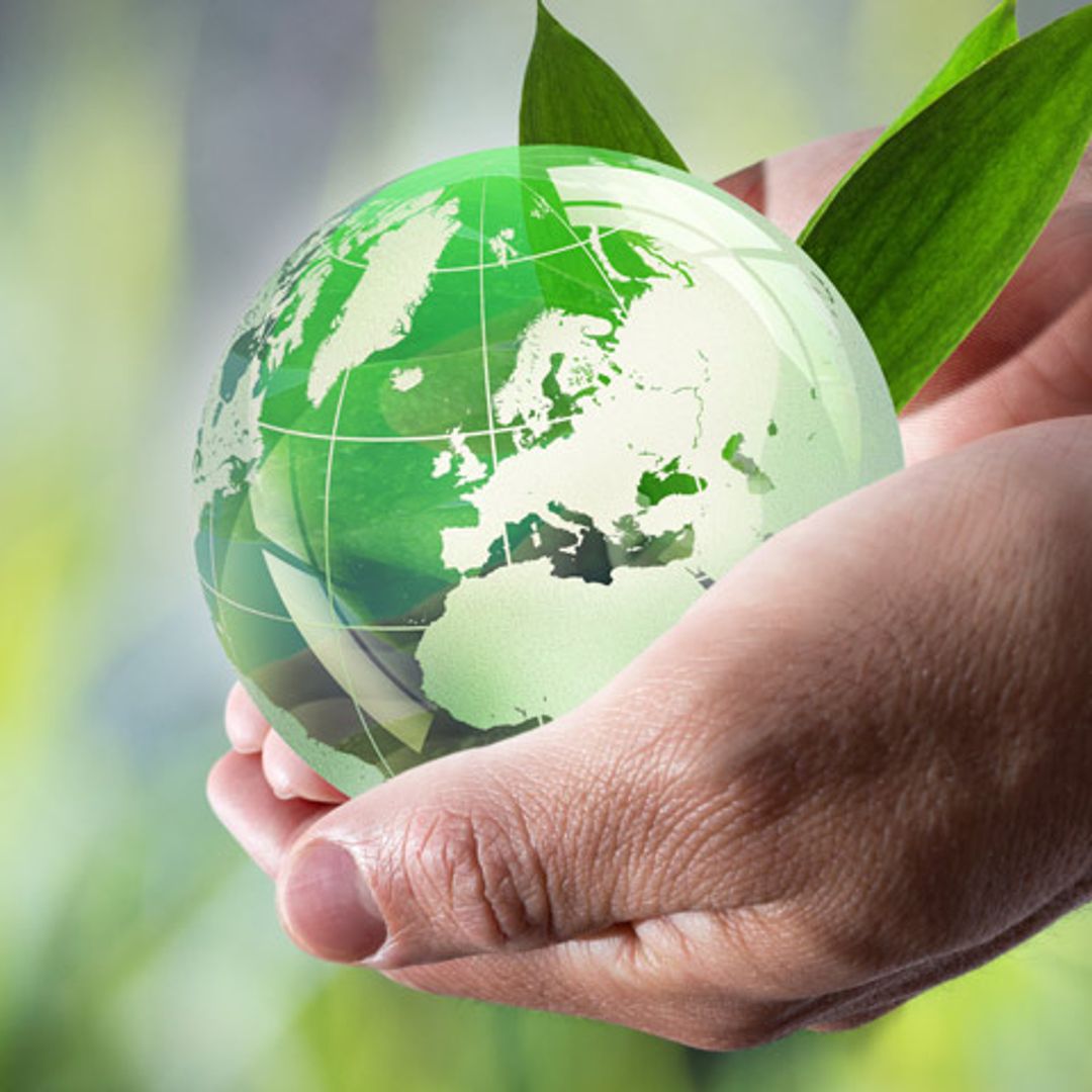 ¿Reciclas correctamente? Claves básicas para hacerlo en casa