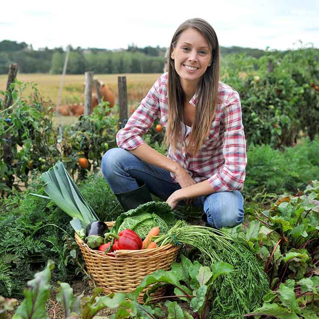 Los alimentos más dañinos para el ser humano lo son también para el planeta