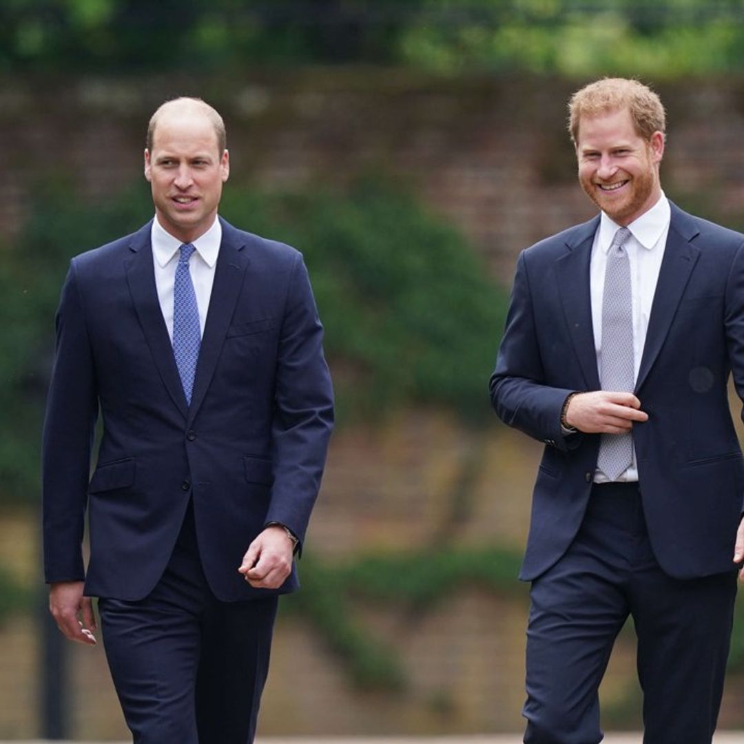 Guillermo y Harry aparcan sus diferencias para homenajear a su madre, Diana de Gales