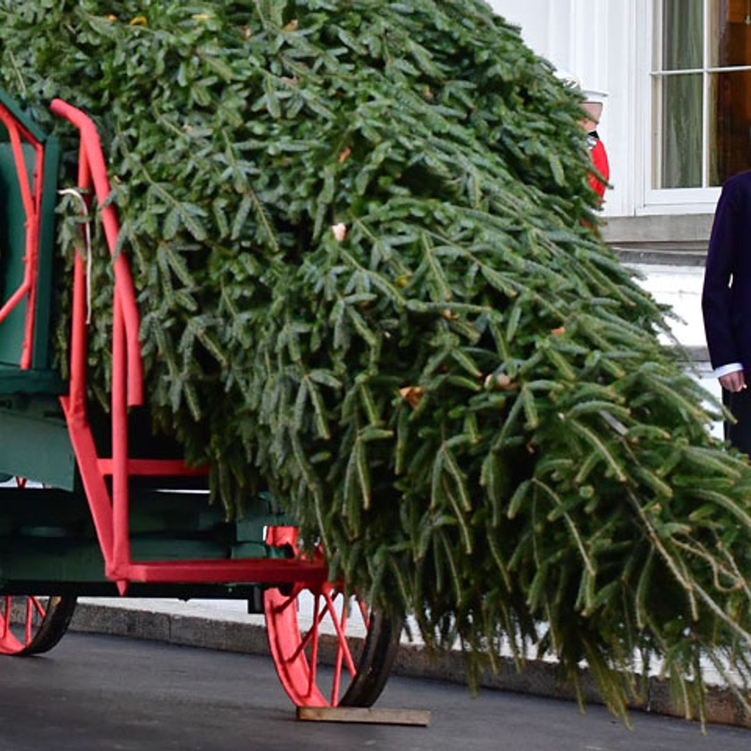Después de ocho años con Michelle Obama... Melania Trump y su hijo reciben por primera vez el árbol de Navidad