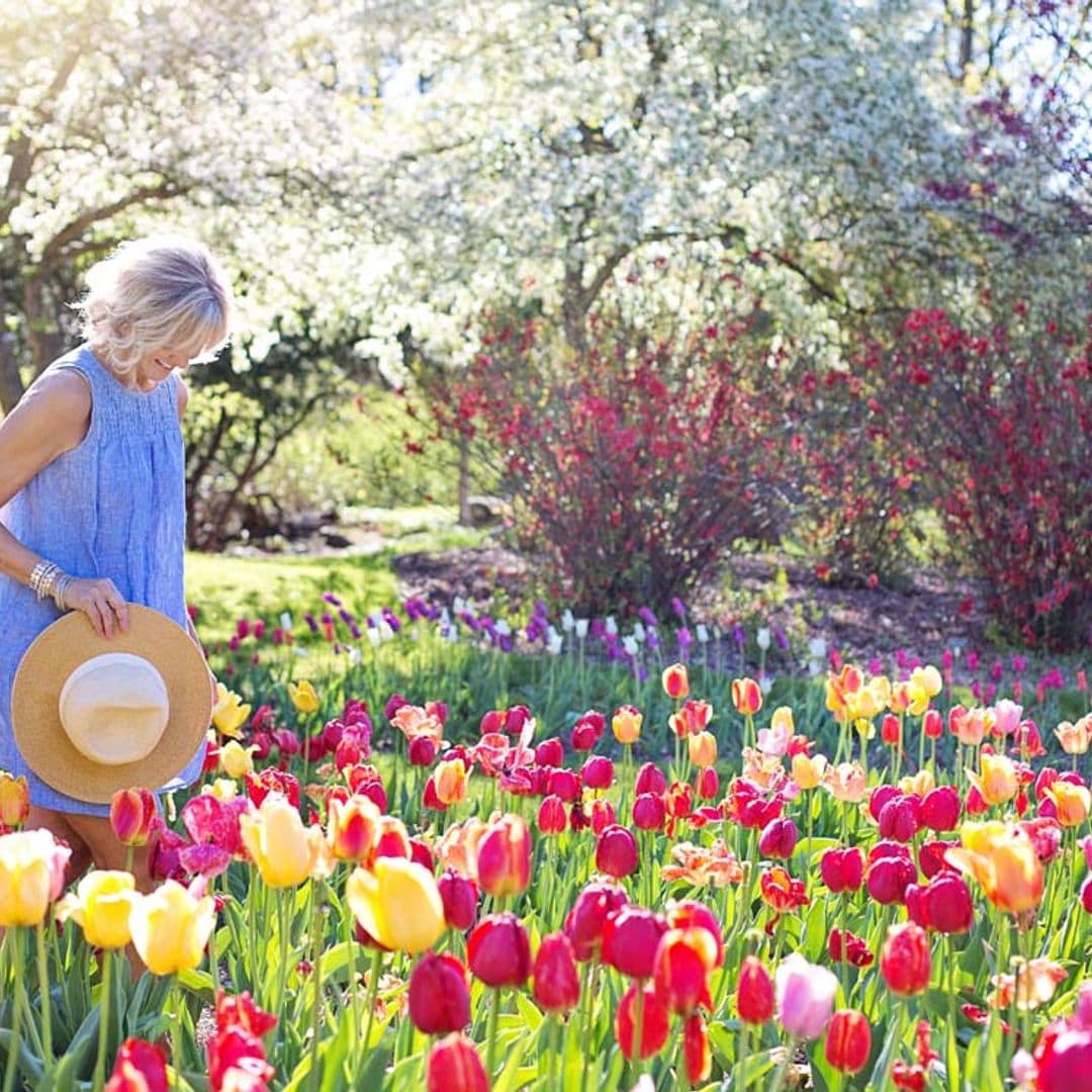 ¿Cuánto tiempo tarda tu jardín en lucir con todo su esplendor?