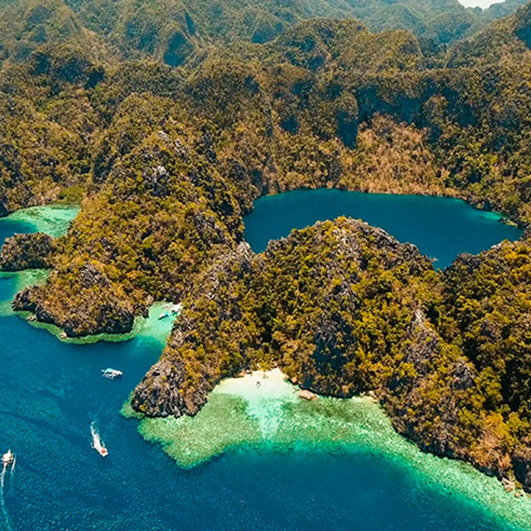 Bohol, la isla filipina donde se vuela sobre colinas de chocolate