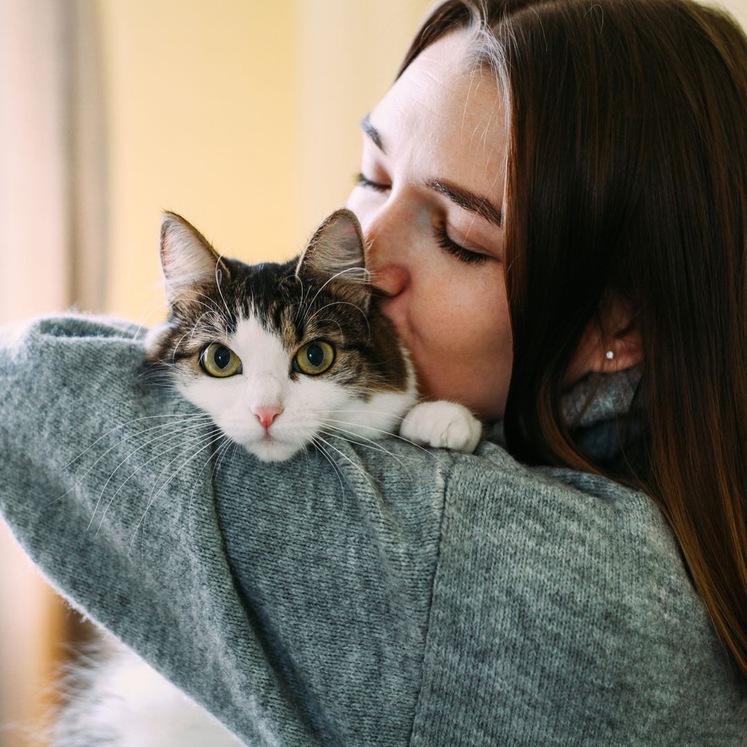El gato que deberías tener según tu mes de nacimiento (y por qué encaja contigo)