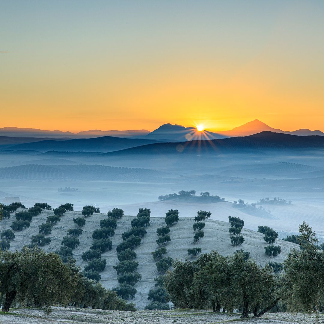 Paisaje cordobés