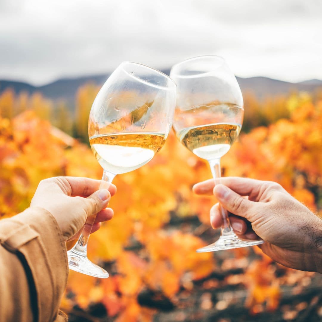 Tintos, blancos, rosados y espumosos: 25 vinos por menos de 20 euros ideales para comprar este Black Friday