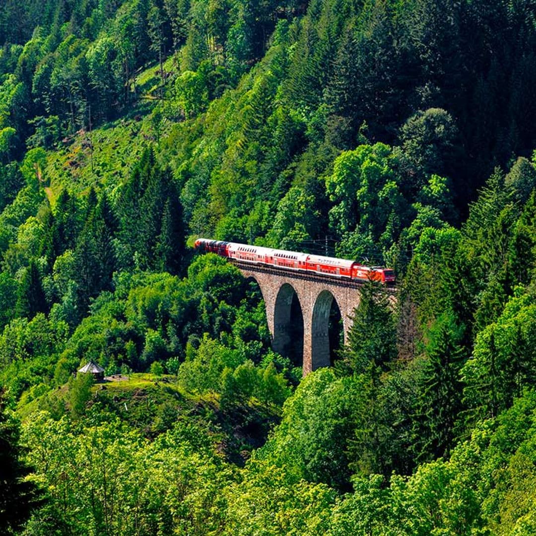Las mejores rutas en tren por Alemania, ¡sube y disfruta!