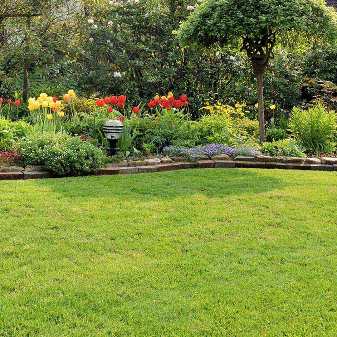7 problemas comunes que puede sufrir el césped de tu jardín y cómo solucionarlos
