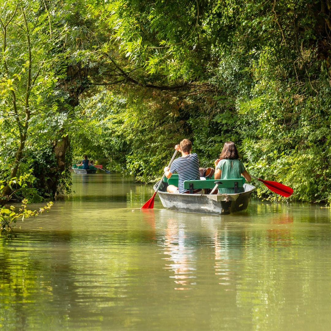 En barca por los canales de Coulon, en el Marais Poitevin, francia