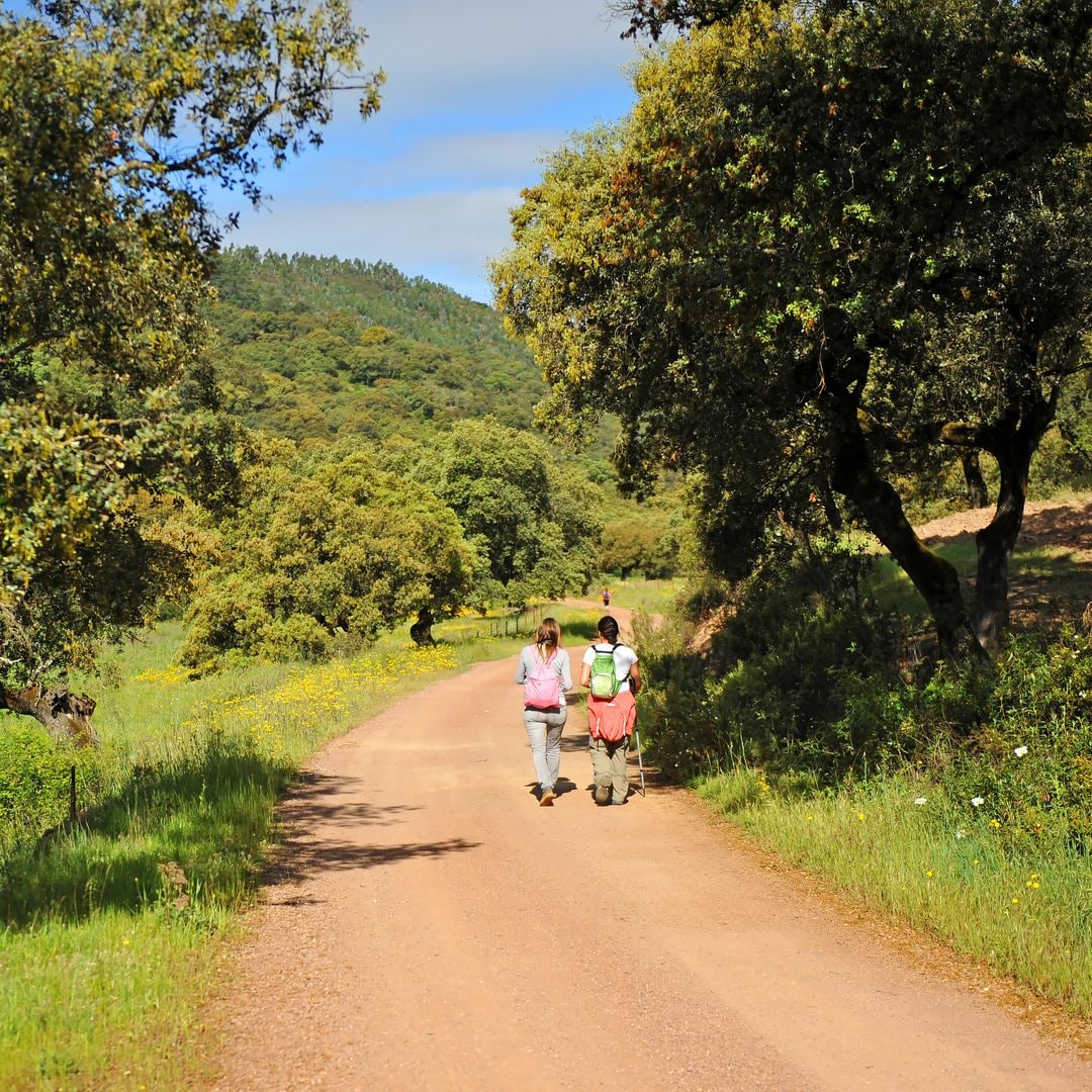 Paseo por el Parque Natural de la Sierra de Aracena y Picos de Aroche, Huelva