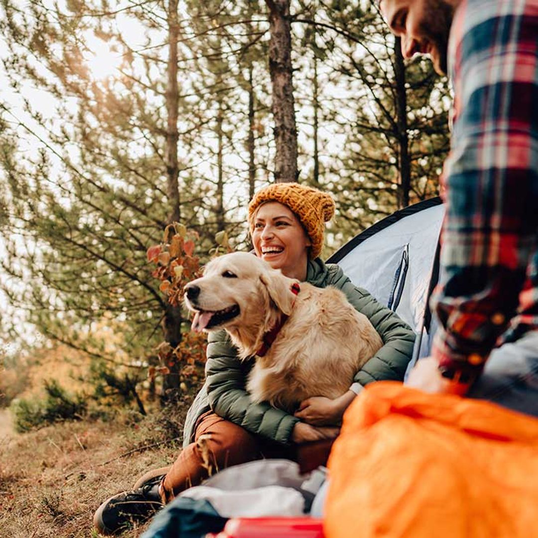 ¿Eres un campista? Dormir al aire libre es la última tendencia que triunfa entre los jóvenes
