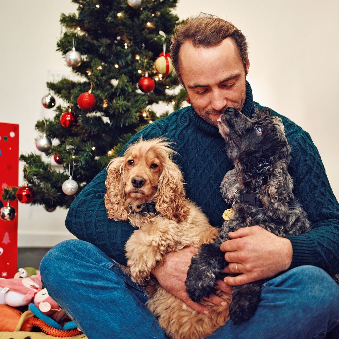 James Middleton, embajador de Dogs Trust, recibe el cariño de dos cocker spaniel