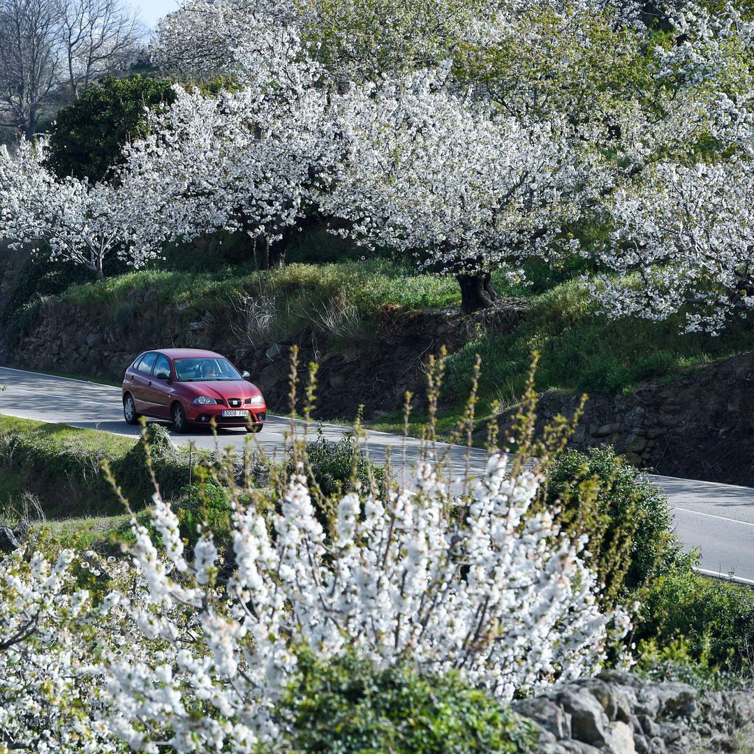 Carretera entre Piornal y Valdastillas, Valle del Jerte, Cáceres