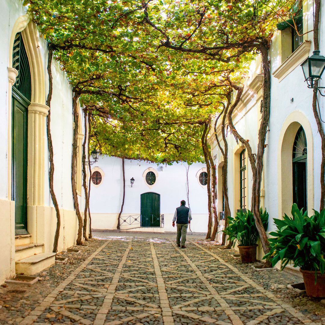 Calle de Jerez de la frontera, Cádiz