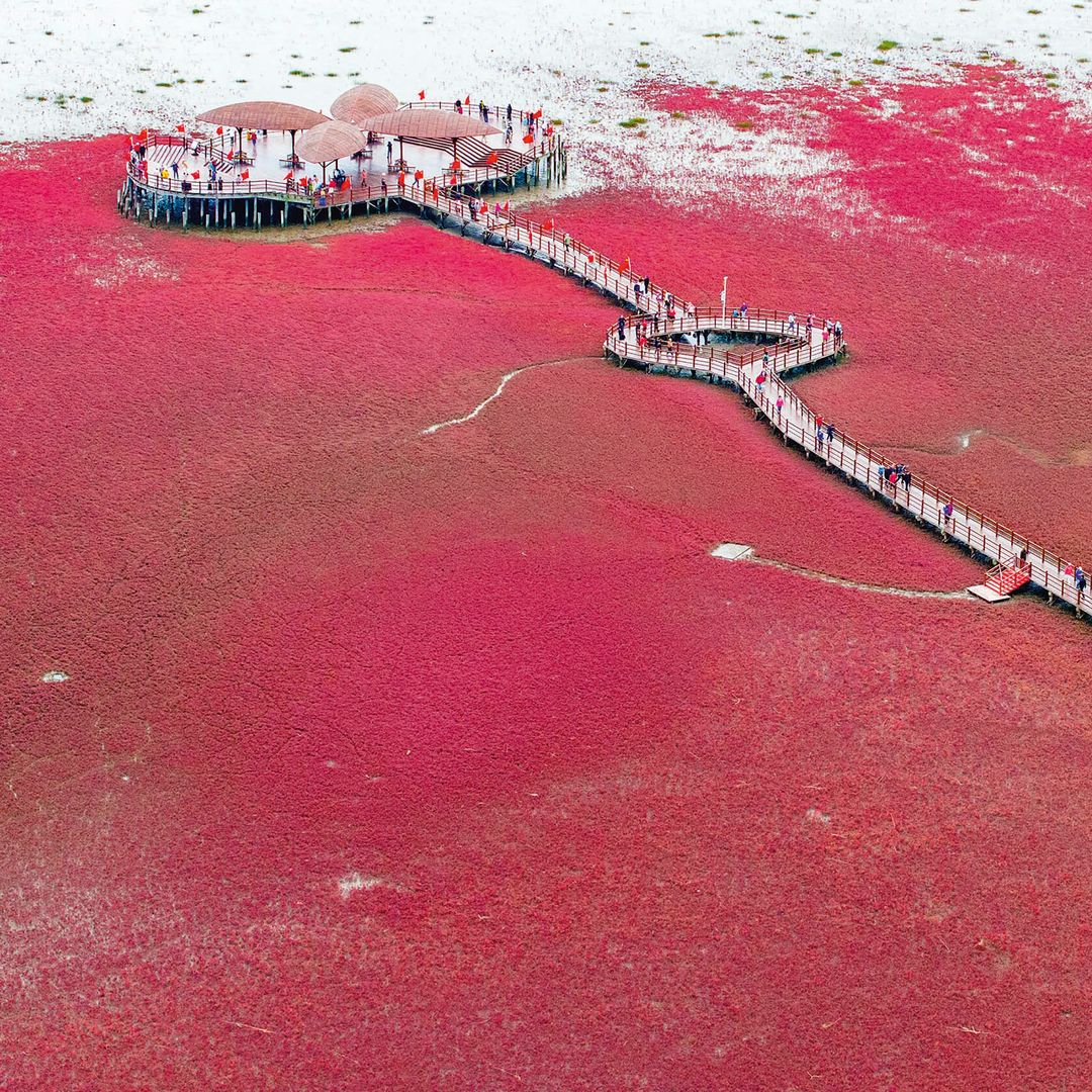 Obras de arte de la naturaleza: del misterio de la playa roja a lienzos de hielo