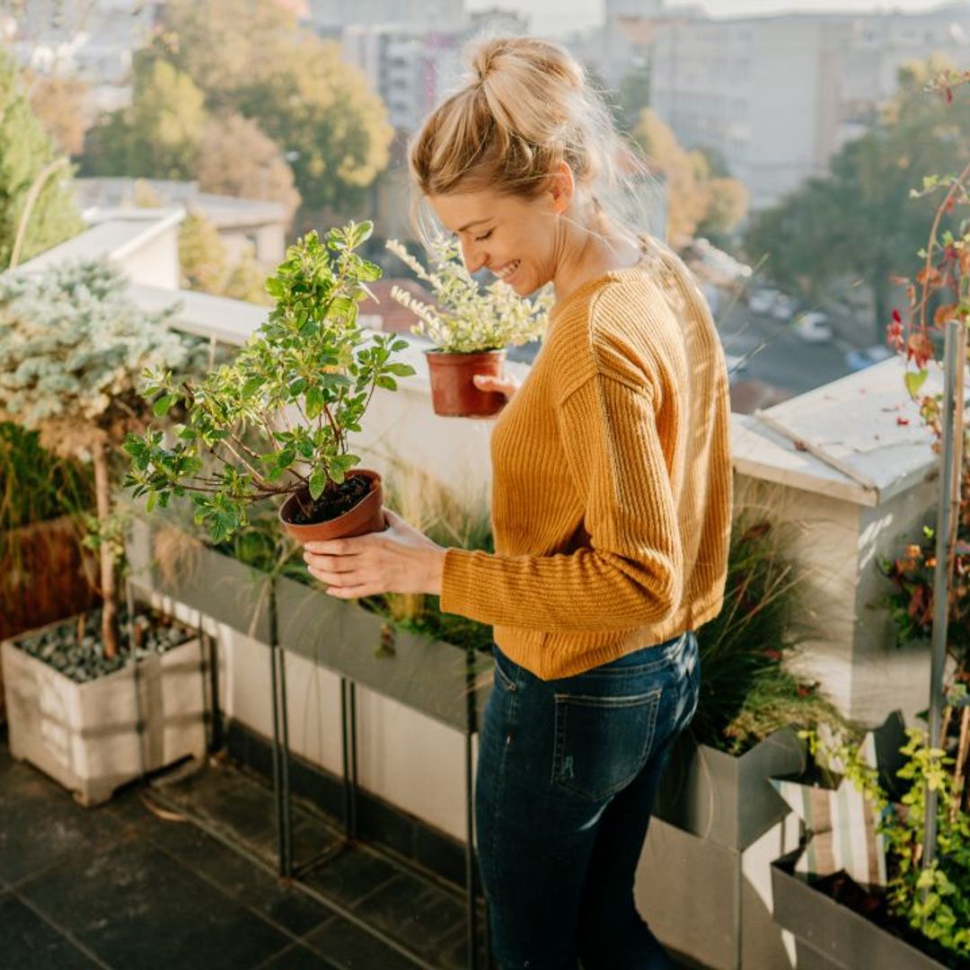 Las plantas de exterior más bonitas y fáciles de cuidar