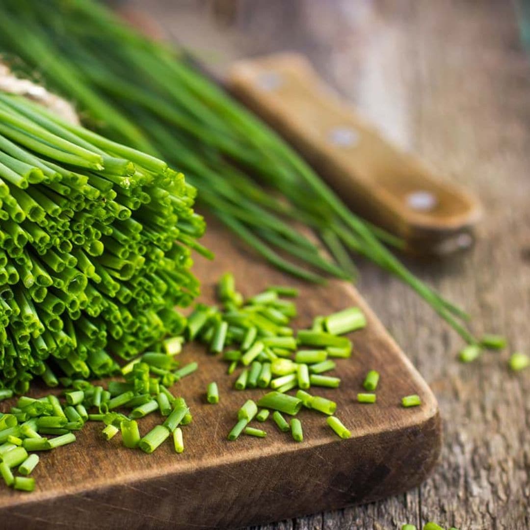 Cebollino, la hierba aromática que da un toque único a tus platos