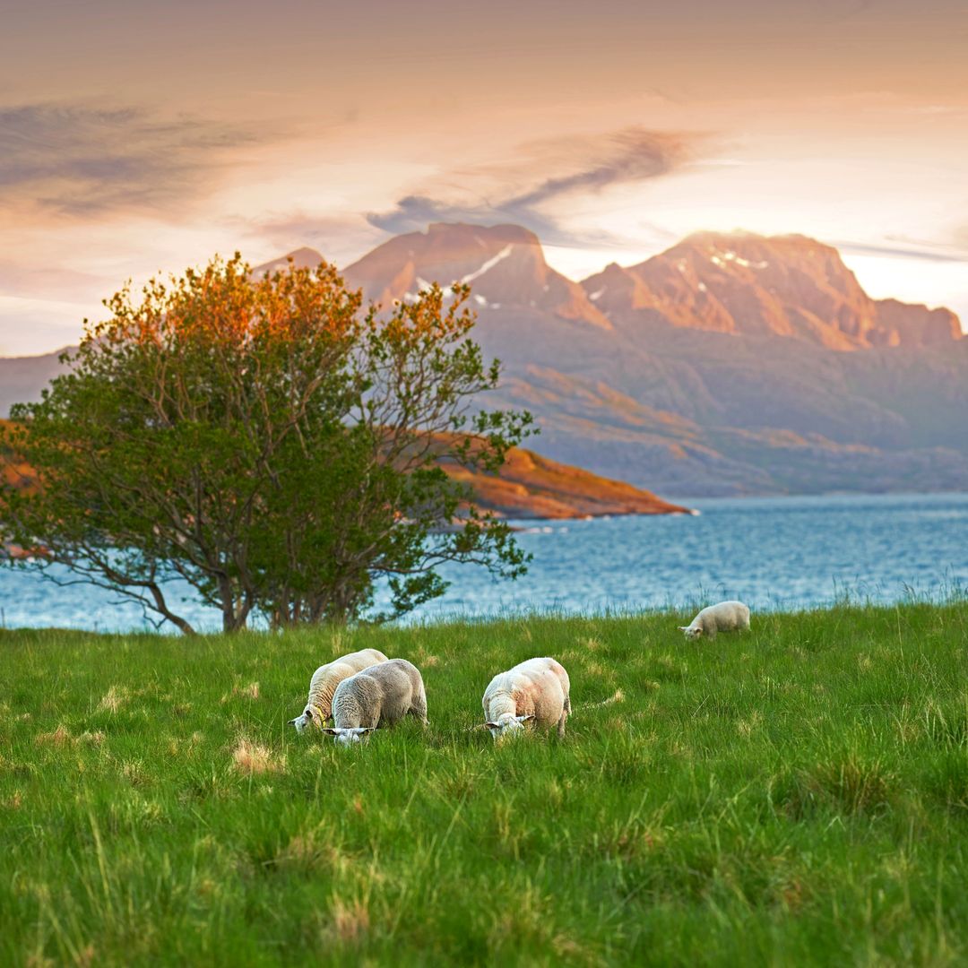 Paisajes montañosos cerca de Bodo y Kjerringoy, Noruega.