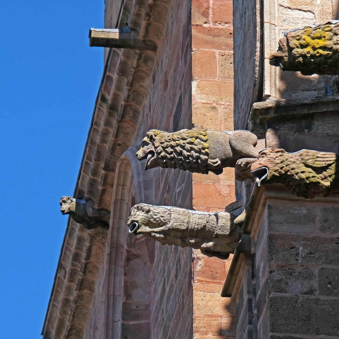 gárgolas de Rodez, Francia