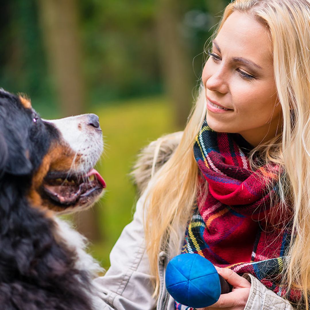 ¿Sabías que la personalidad de los perros también cambia a lo largo de la vida?