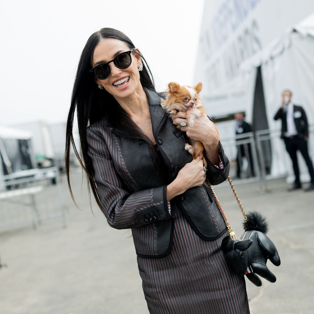 El 'pet parenting' conquista la moda: por qué las firmas incorporan perros en sus campañas y desfiles