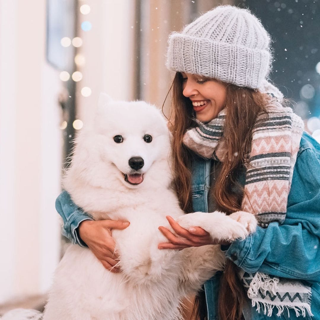 ¿Es bueno educar a un perro con el clicker?