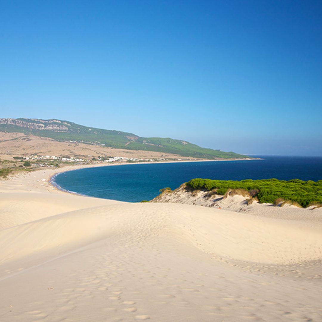 Bolonia Cadiz playas