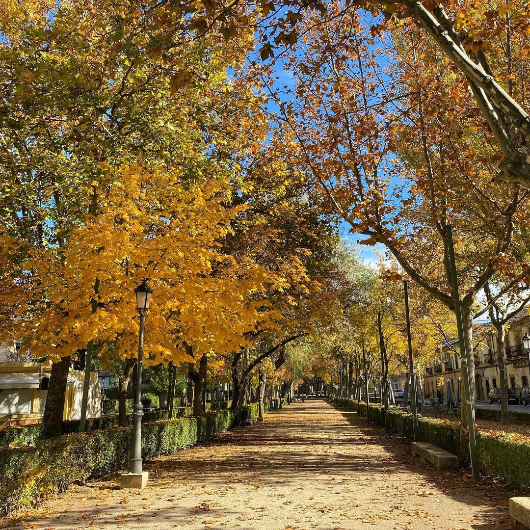 Paseo de la Alameda, Sigüenza, Guadalajara