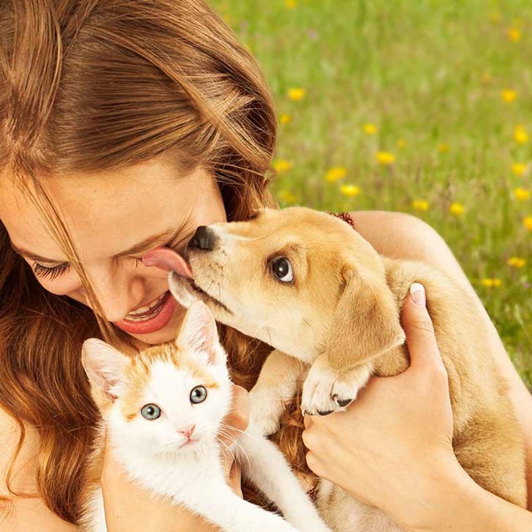 ¿Vivir entre humanos mejora la inteligencia de las mascotas?