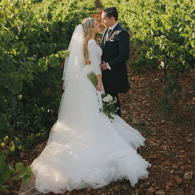 Vestido de novia de Pronovias
