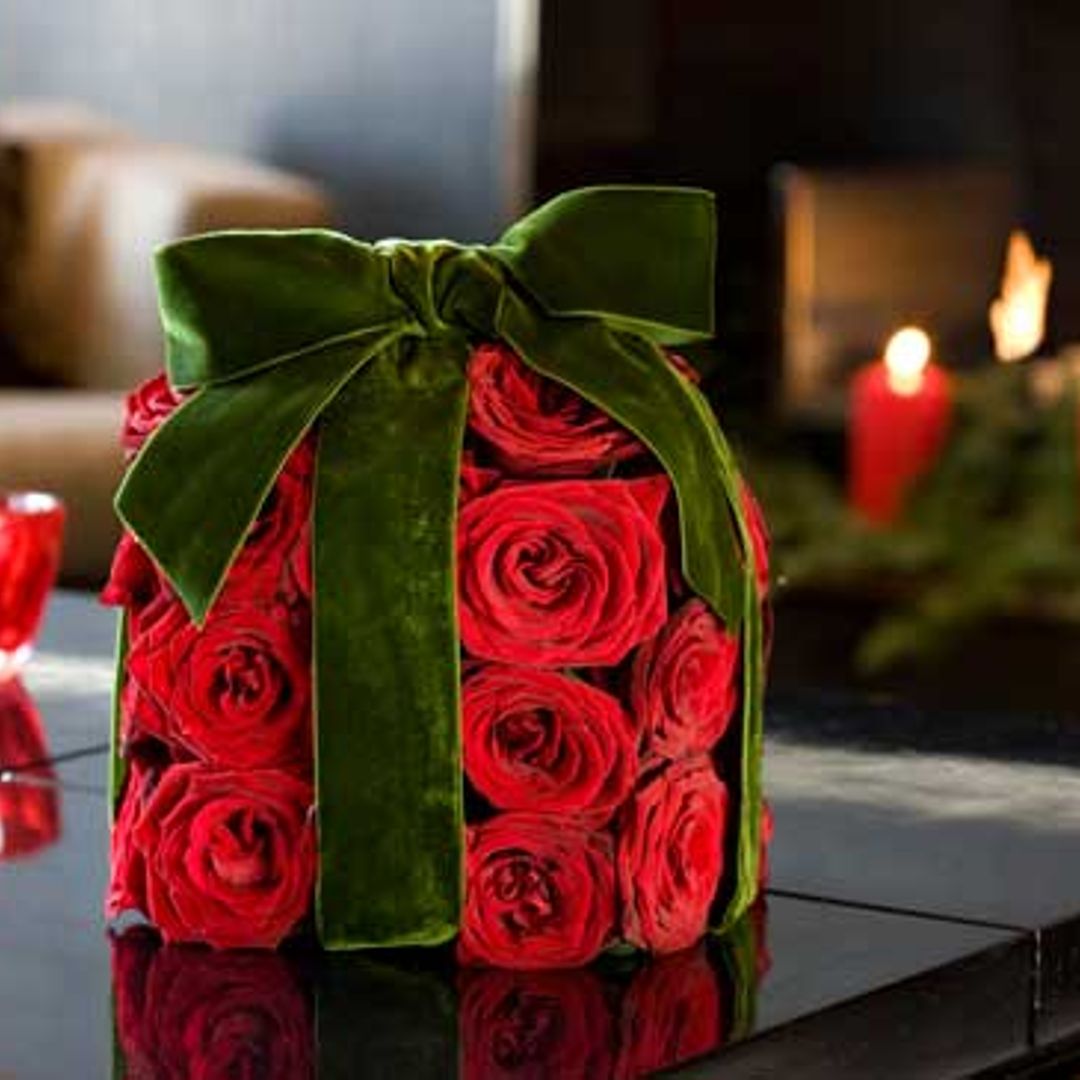 Plantas: el recurso decorativo más navideño