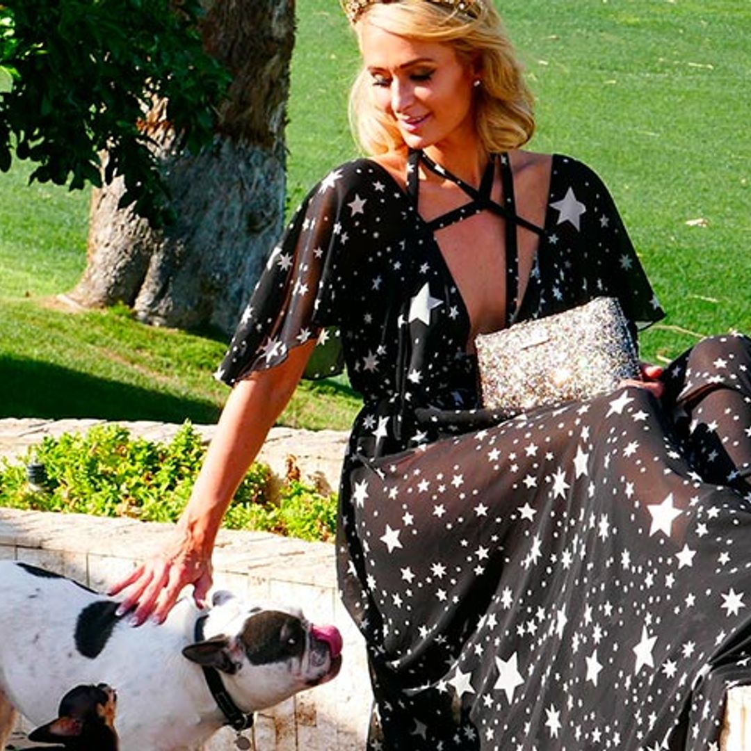 ¡A pares! Las 'celebrities' que no se conforman con un único perro en casa