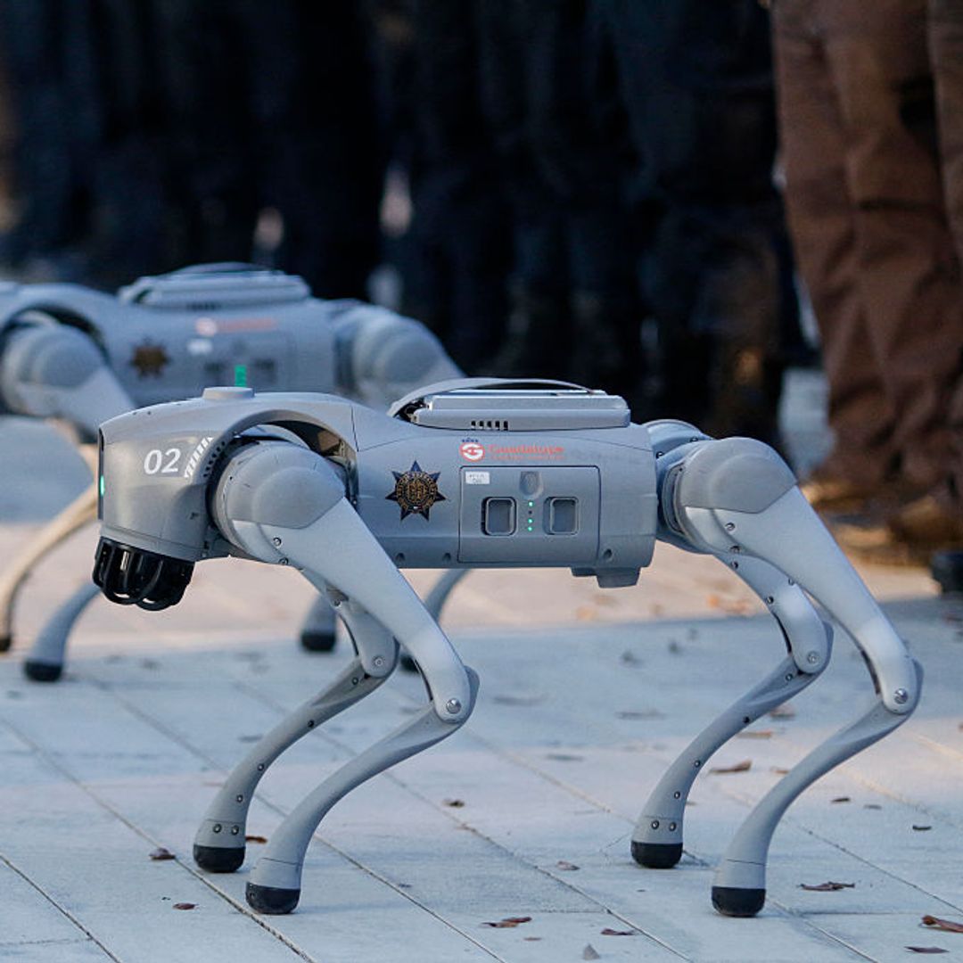 Así son los ''perros robots'' que ya patrullan los centros de datos y marcan la nueva vigilancia del futuro