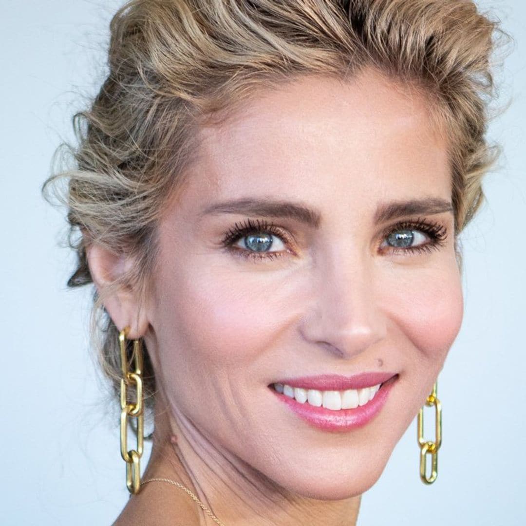 Elsa Pataky y Chris Hemsworth viajan en ‘jet’ privado con sus perros… hasta de peluche