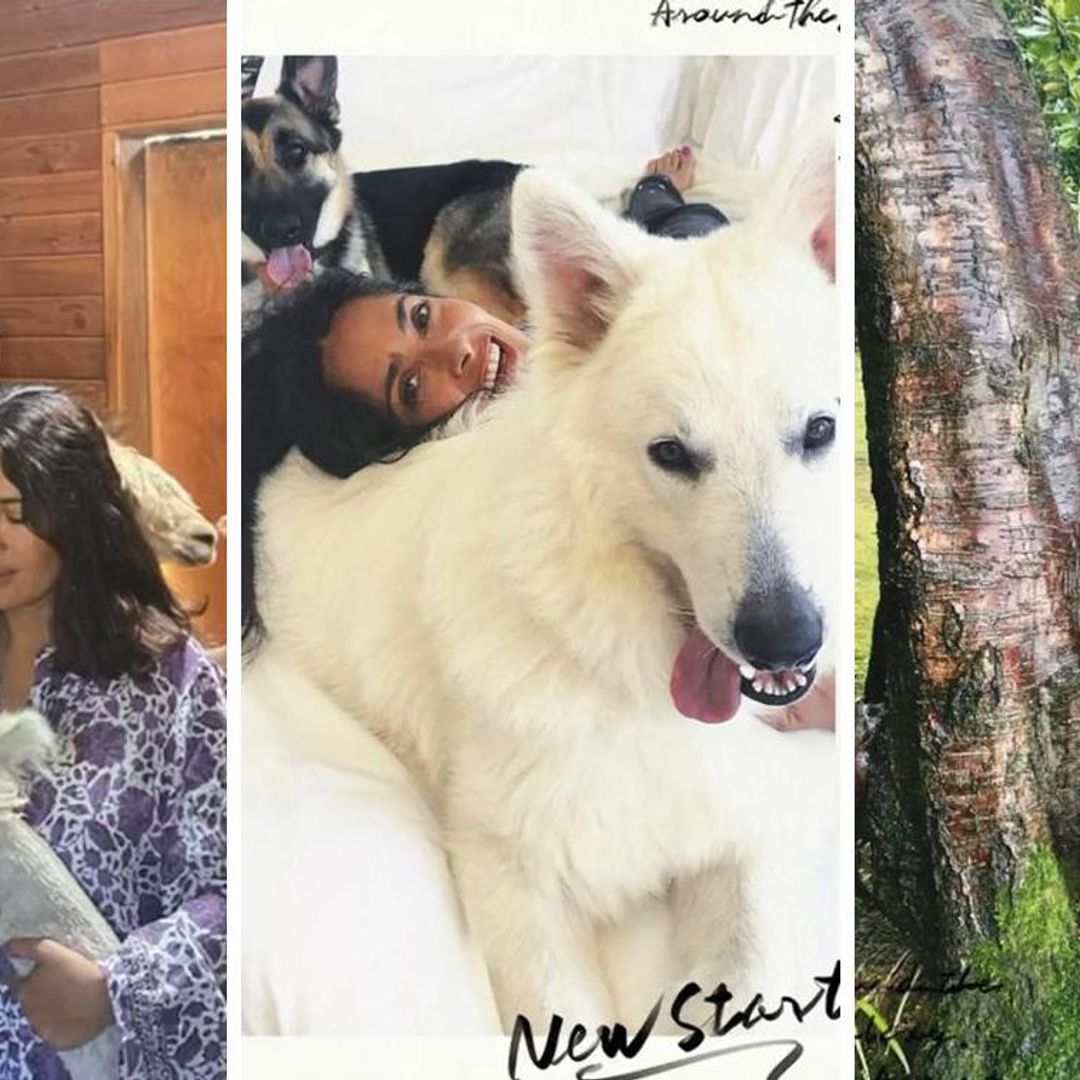 Búhos, llamas, caballos y perros; Salma Hayek sorprende con todas las mascotas que tiene en casa