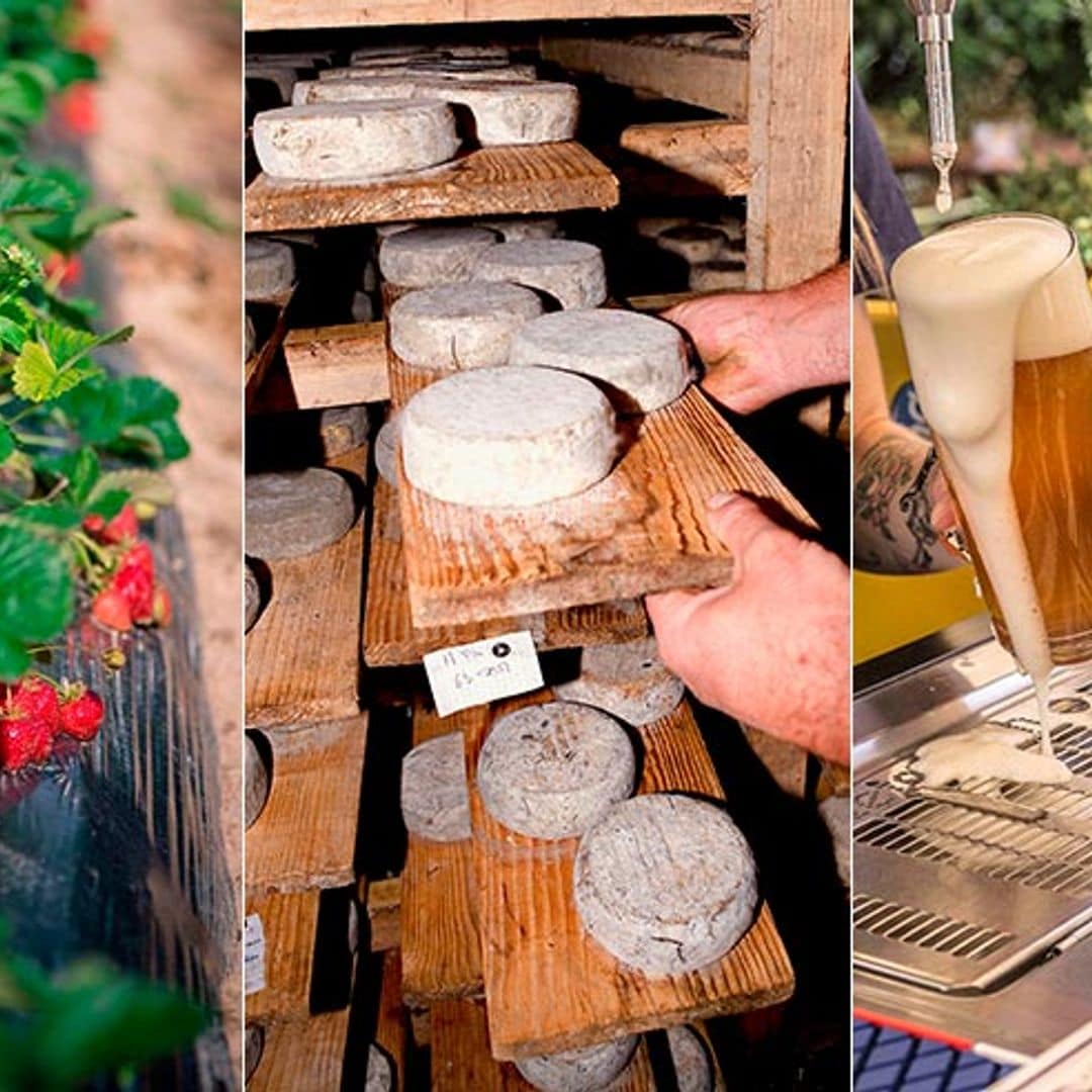 «Made in Madrid», ruta gourmet para locos por lo artesanal