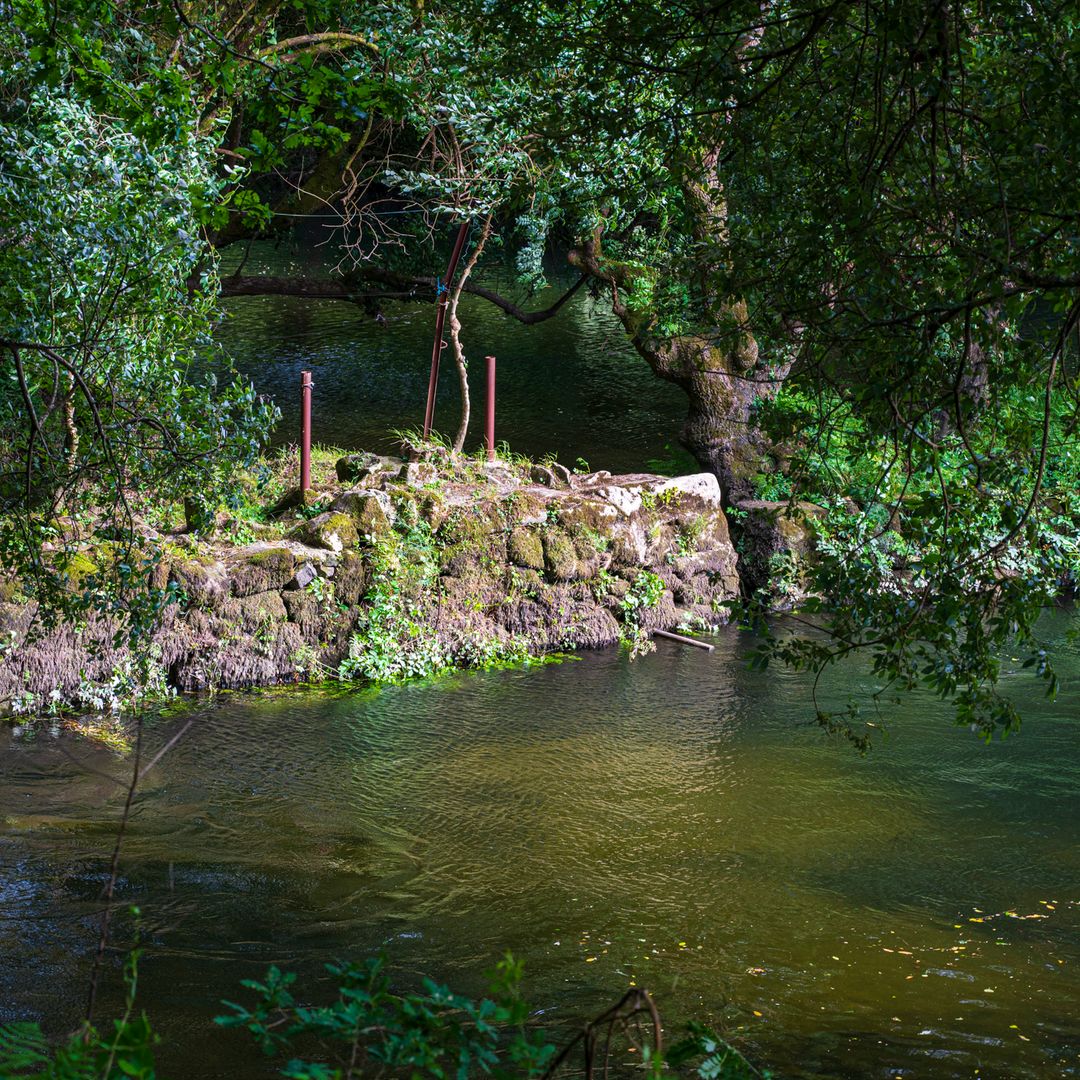 Pesquerías en Padrón, A Coruña
