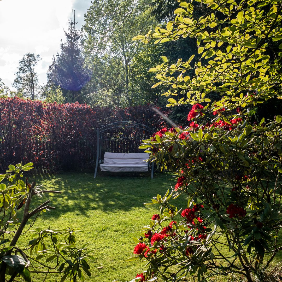Cómo ganar privacidad en tu jardín para disfrutarlo este verano sin miradas indiscretas