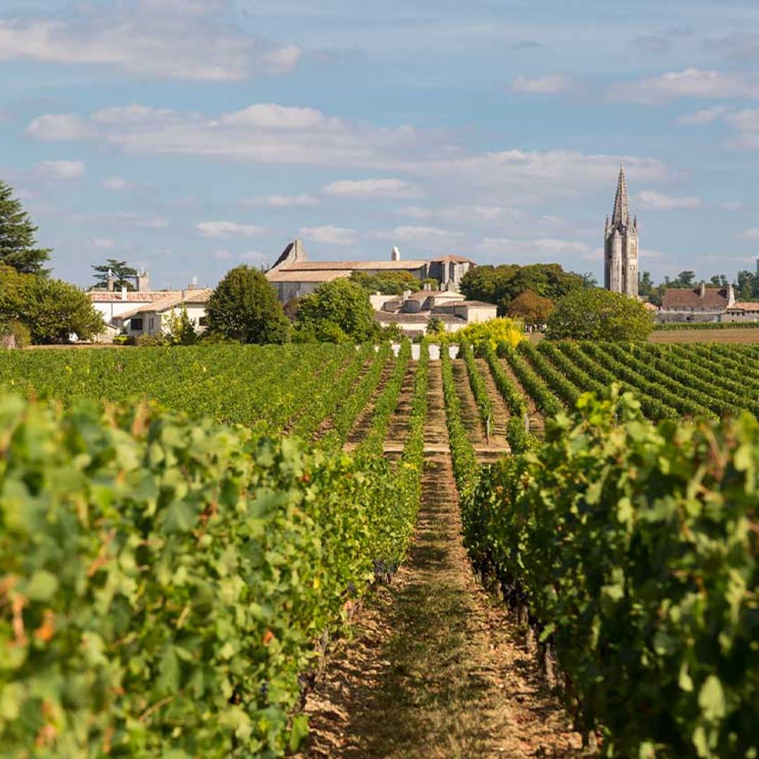 Saint-Émilion: un destino único para los amantes del vino