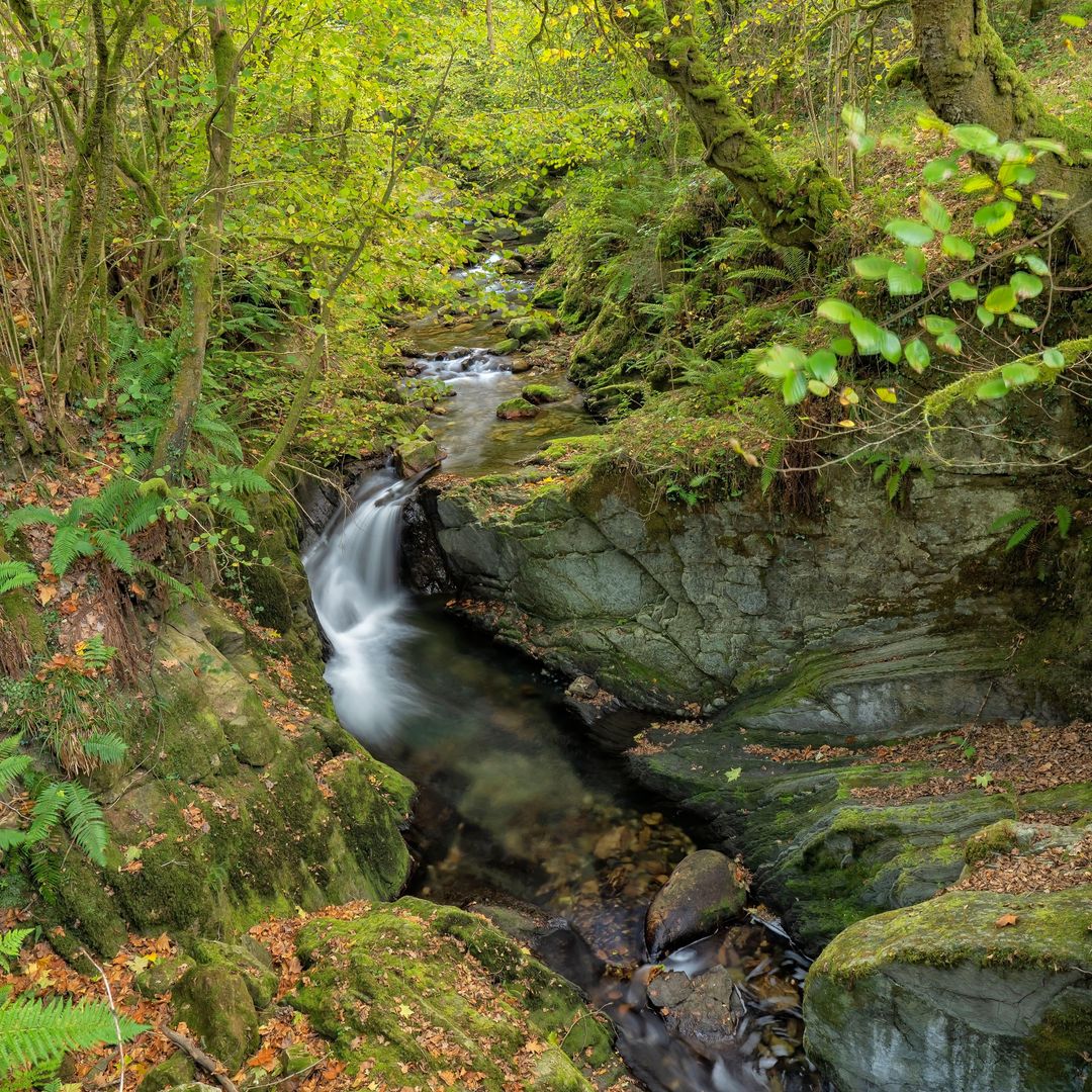 El río Infierno mientras pasa por el Área Recreativa de La Pesanca en Asturias