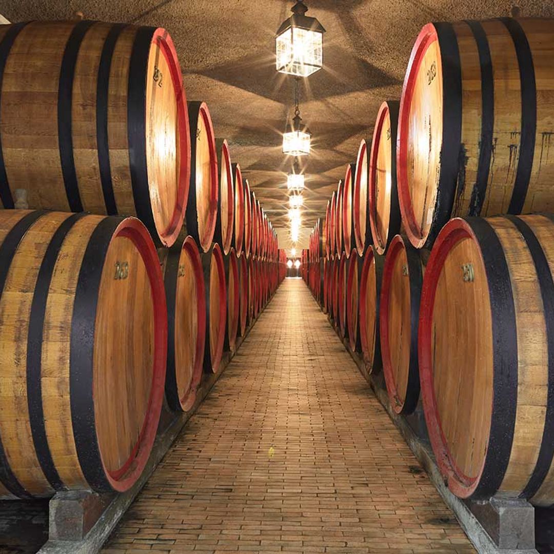 Barricas en la destilería Bortolo Nardini Distillery en Bassano del Grappa, Italia