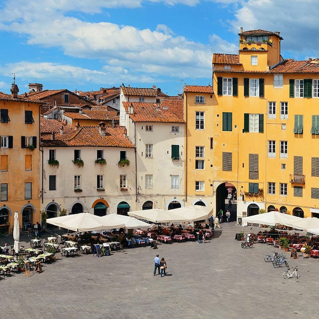 lucca pbnf4e