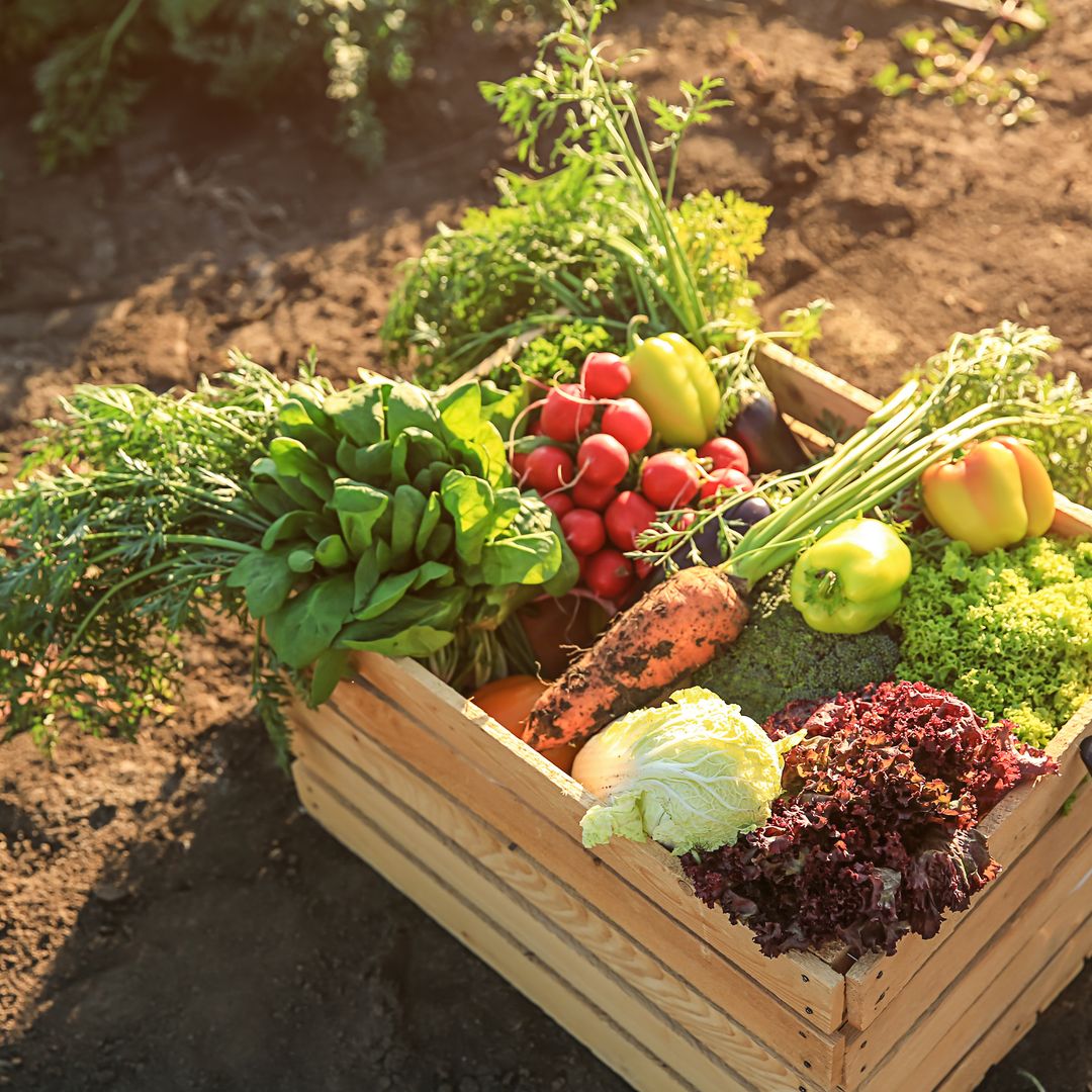 La cocina rural existe, y tienes que conocerla y apoyarla