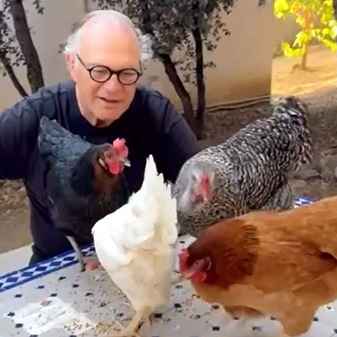 La curiosa forma de Pedro Piqueras de relajarse entre gallinas: “No se puede pedir más”