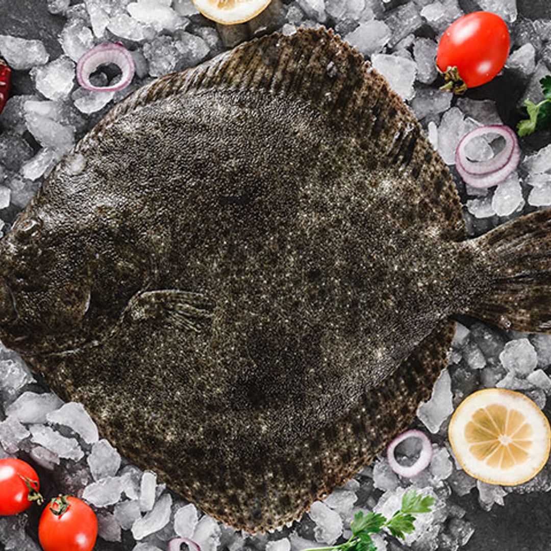 Cocina con rodaballo, un pescado delicioso y muy saludable